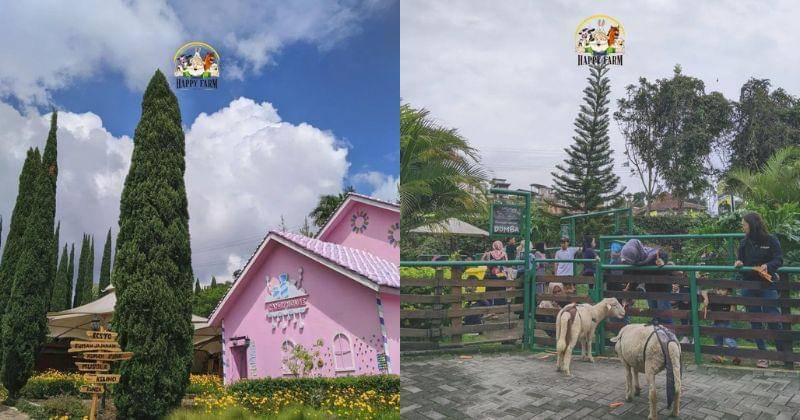 Instagram.com/happyfarmciwidey